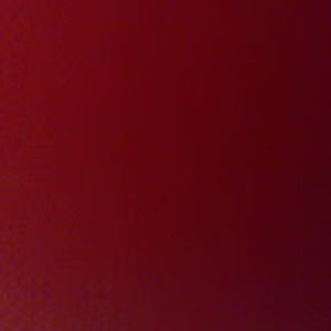 Meet your Posher, Chase